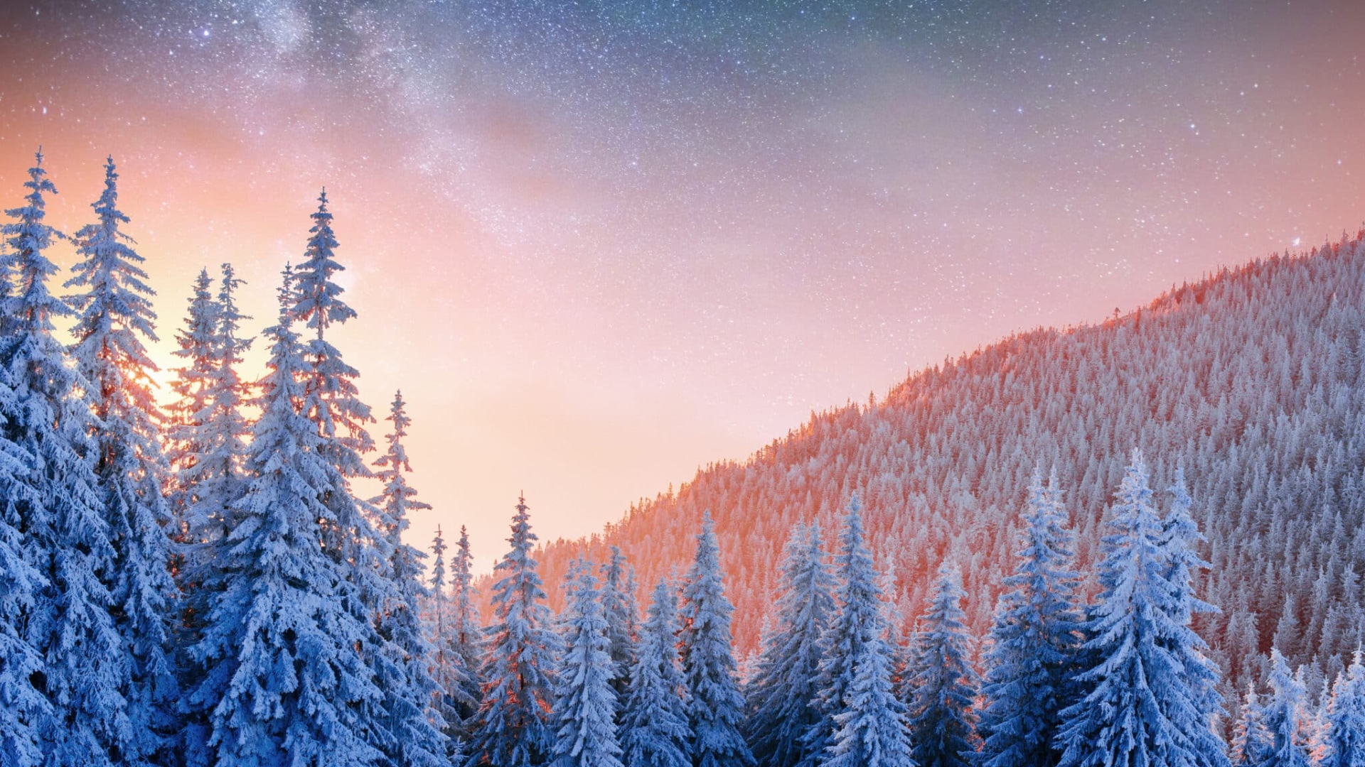 starry sky in winter snowy night. fantastic milky way in the New Year's Eve. Starry sky snowy winter night. The Milky Way is a fantastic New Year's Eve.